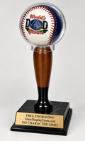 Personalized Baseball Display Case: Engraved Trophy Ball Holder