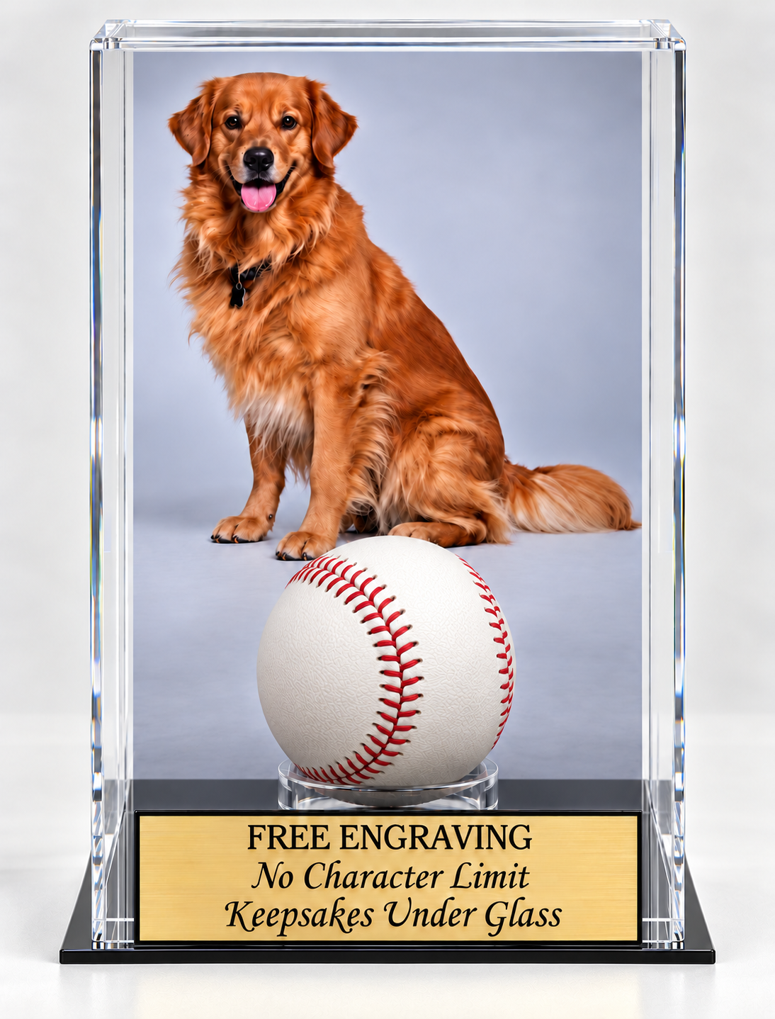 Pet Memorial Acrylic Display Case Fir a Tennis Ball or Baseball. Your Photo Printed and Installed