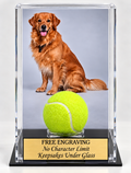 Pet Memorial Acrylic Display Case Fir a Tennis Ball or Baseball. Your Photo Printed and Installed