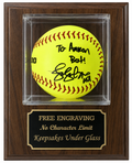Softball Display Case: Walnut or Black Wood Plaque, Free Engraving