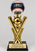 Personalized Baseball Display Case: Engraved Trophy Award