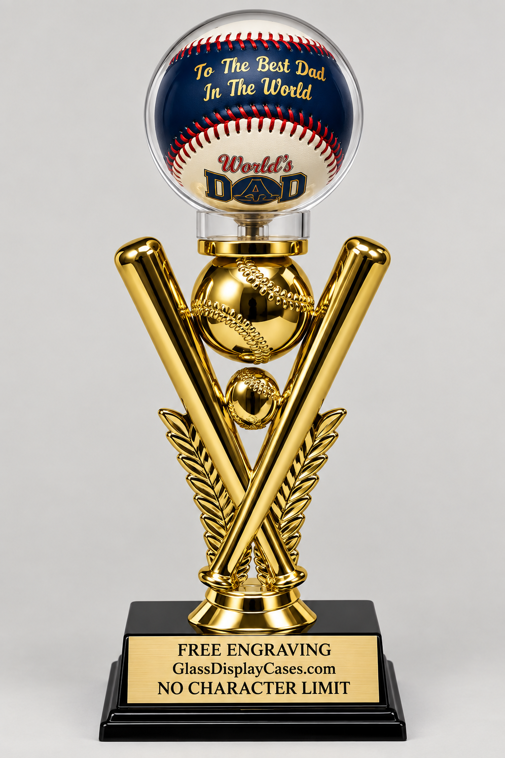 Personalized Baseball Display Case: Engraved Trophy Award