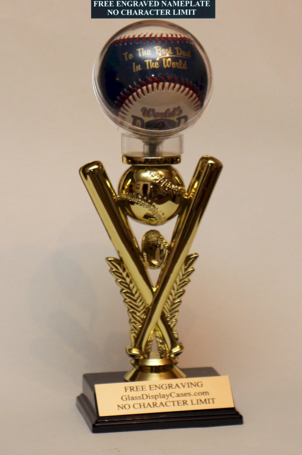 Personalized Baseball Display Case: Engraved Trophy Award