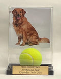 Pet Memorial Acrylic Display Case: Photo, Ball & Free Engraving